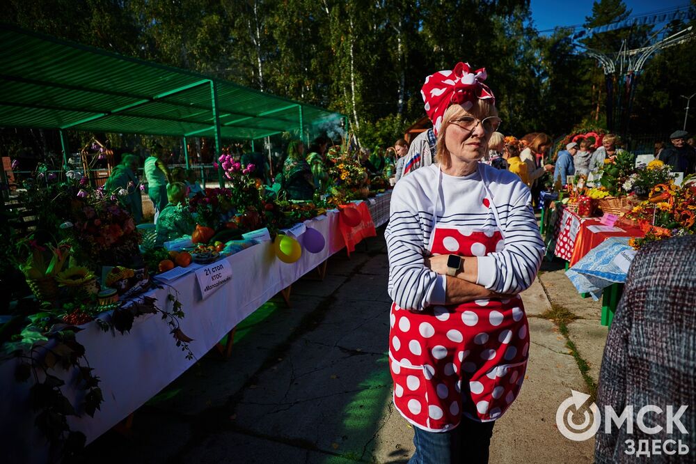 Замысловатые дачные экспонаты представили в парке им. 30-летия ВЛКСМ. Подробнее: читайте здесь . Фото: Илья Петров