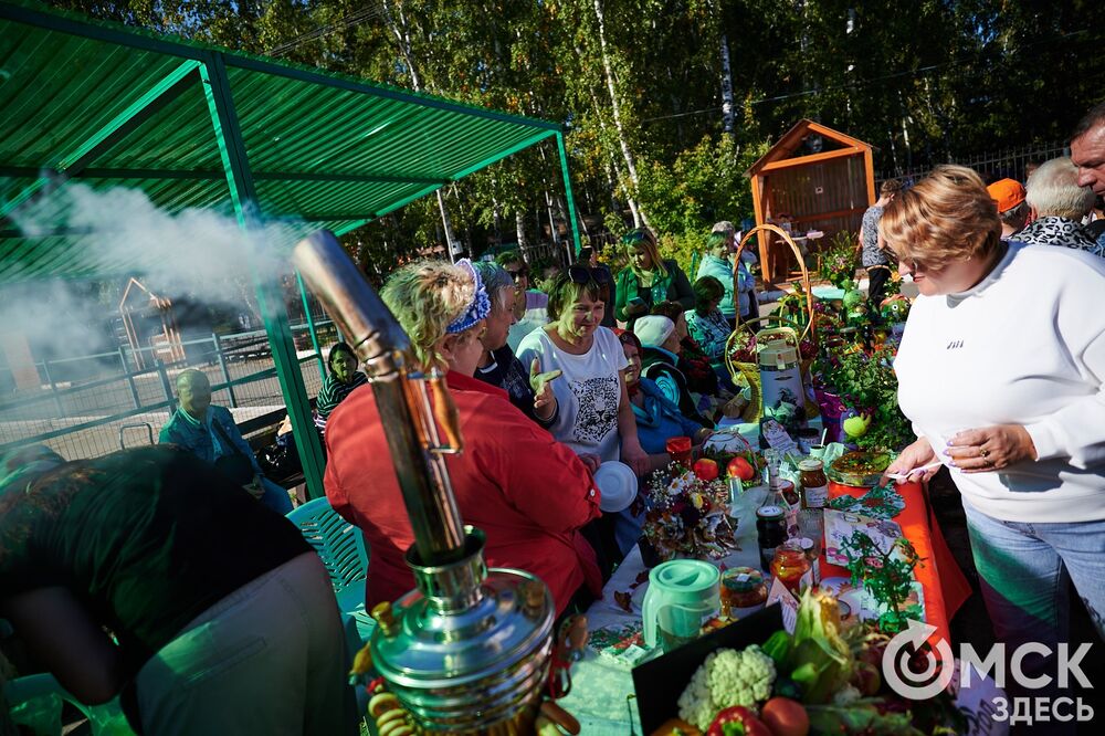 Замысловатые дачные экспонаты представили в парке им. 30-летия ВЛКСМ. Подробнее: читайте здесь . Фото: Илья Петров