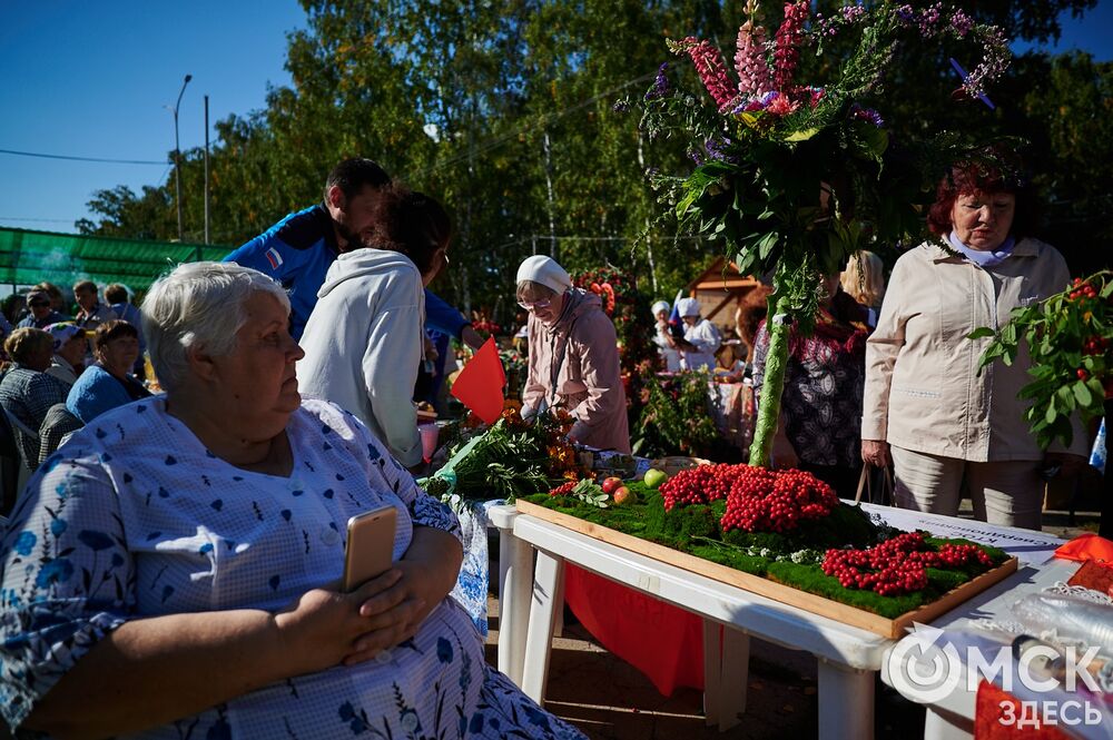 Замысловатые дачные экспонаты представили в парке им. 30-летия ВЛКСМ. Подробнее: читайте здесь . Фото: Илья Петров