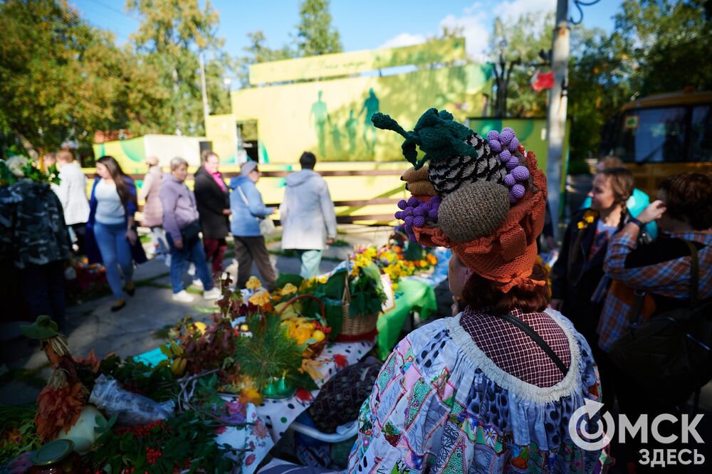 Замысловатые дачные экспонаты представили в парке им. 30-летия ВЛКСМ. Подробнее: читайте здесь . Фото: Илья Петров