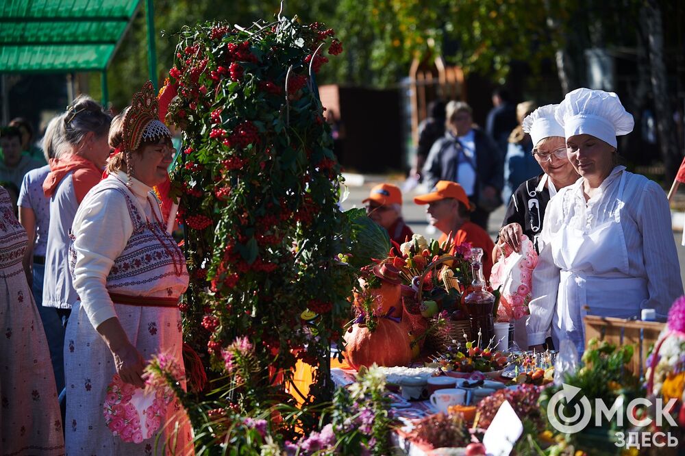 Замысловатые дачные экспонаты представили в парке им. 30-летия ВЛКСМ. Подробнее: читайте здесь . Фото: Илья Петров