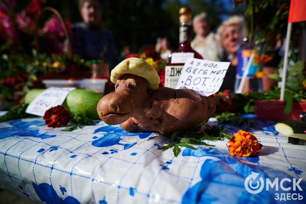 Замысловатые дачные экспонаты представили в парке им. 30-летия ВЛКСМ. Подробнее: читайте здесь . Фото: Илья Петров