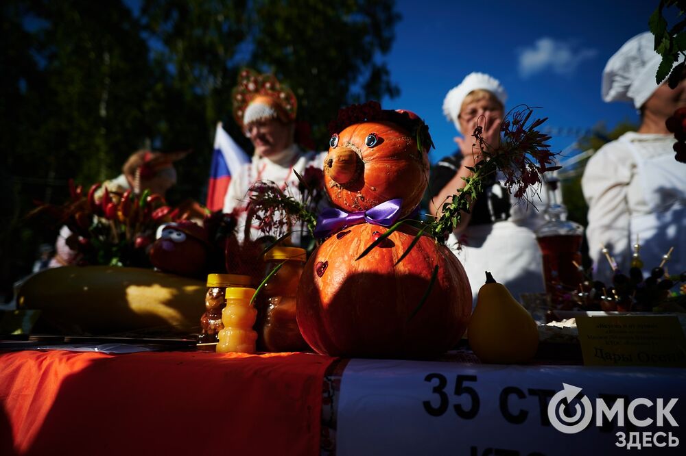 Замысловатые дачные экспонаты представили в парке им. 30-летия ВЛКСМ. Подробнее: читайте здесь . Фото: Илья Петров