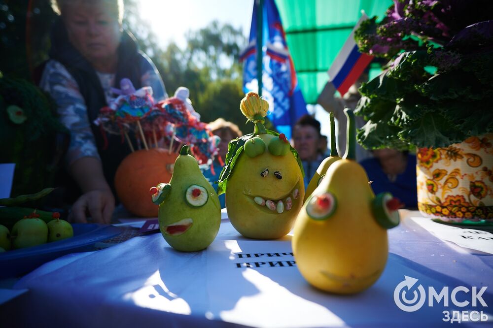 Замысловатые дачные экспонаты представили в парке им. 30-летия ВЛКСМ. Подробнее: читайте здесь . Фото: Илья Петров