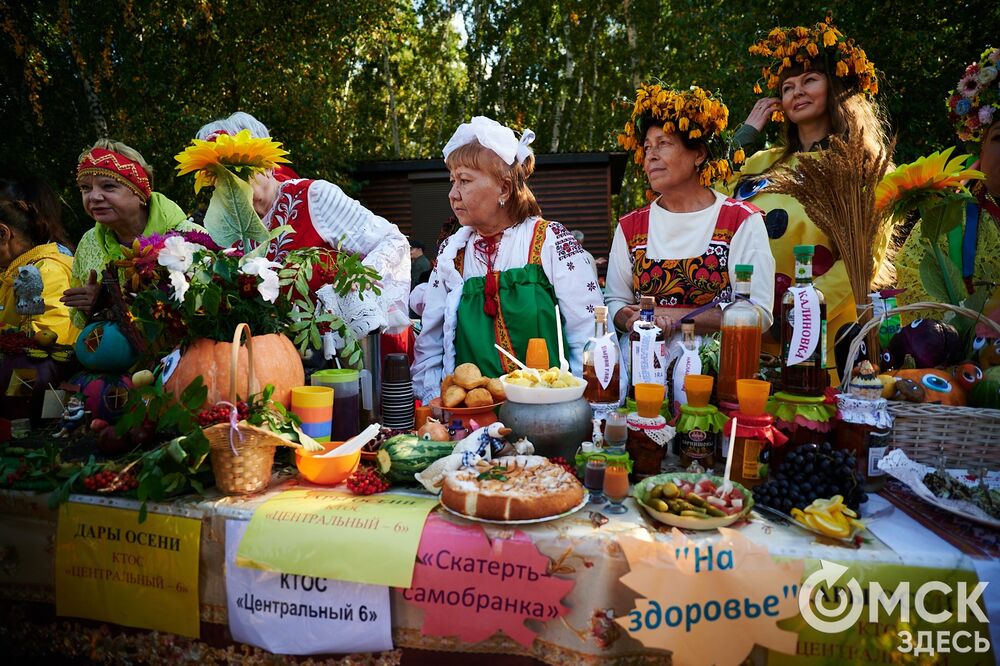 Замысловатые дачные экспонаты представили в парке им. 30-летия ВЛКСМ. Подробнее: читайте здесь . Фото: Илья Петров