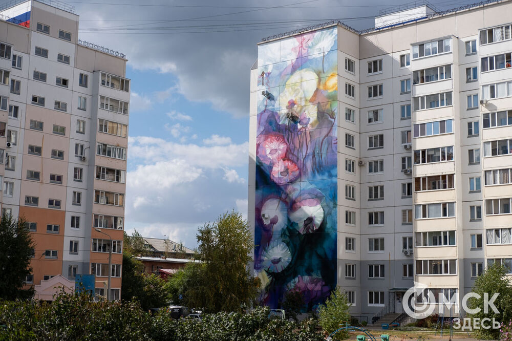 Художники из разных городов и стран создали муралы на фасадах многоэтажек. Подробнее: читайте здесь . Фото: Елизавета Медведева