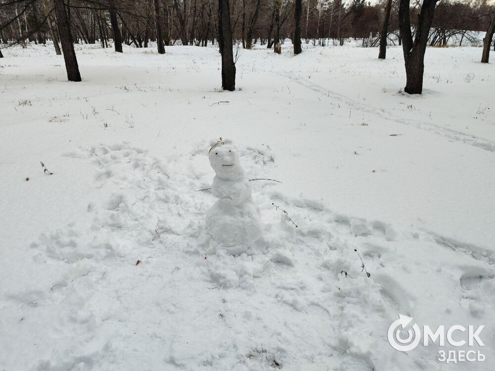 Снеговики в ПКиО им. 30-летия ВЛКСМ