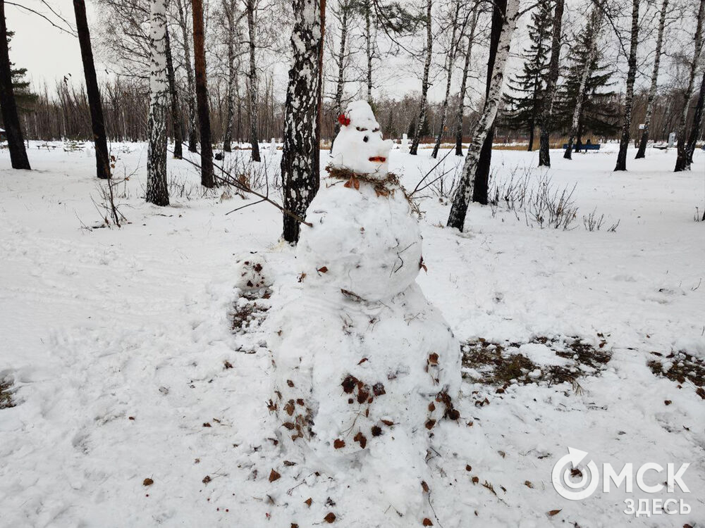 Снеговики в ПКиО им. 30-летия ВЛКСМ