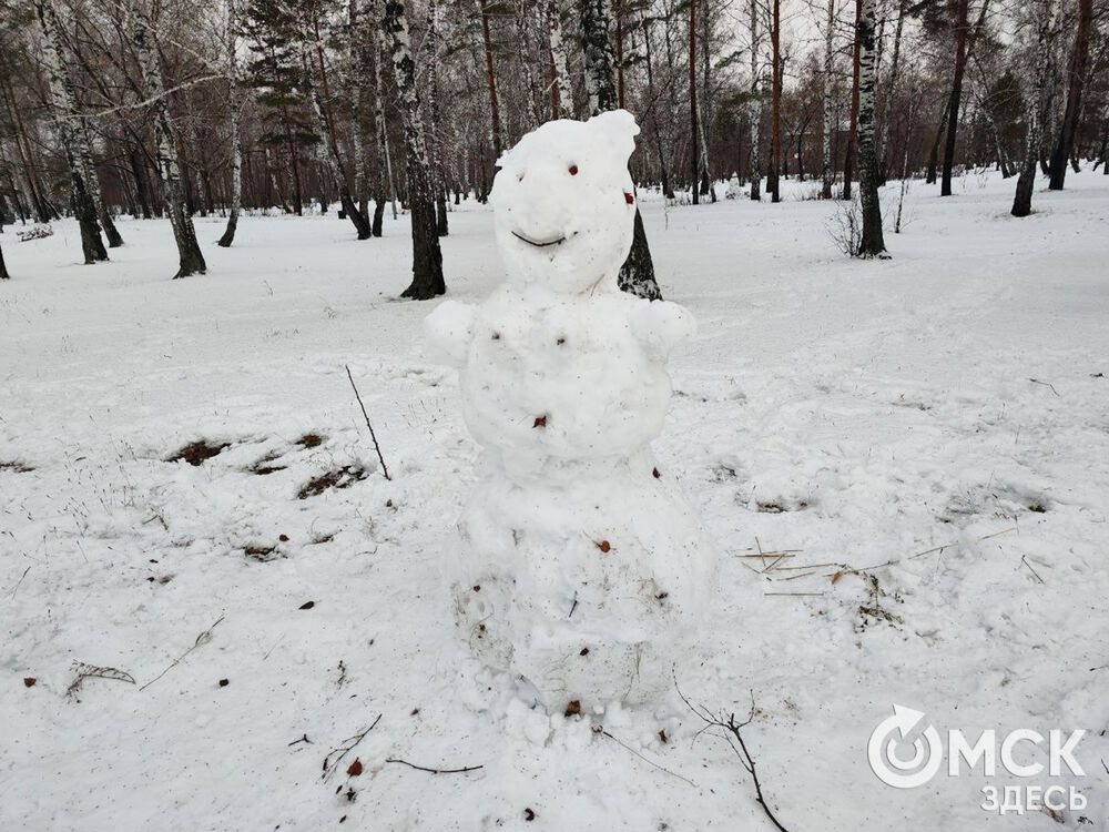 Снеговики в ПКиО им. 30-летия ВЛКСМ