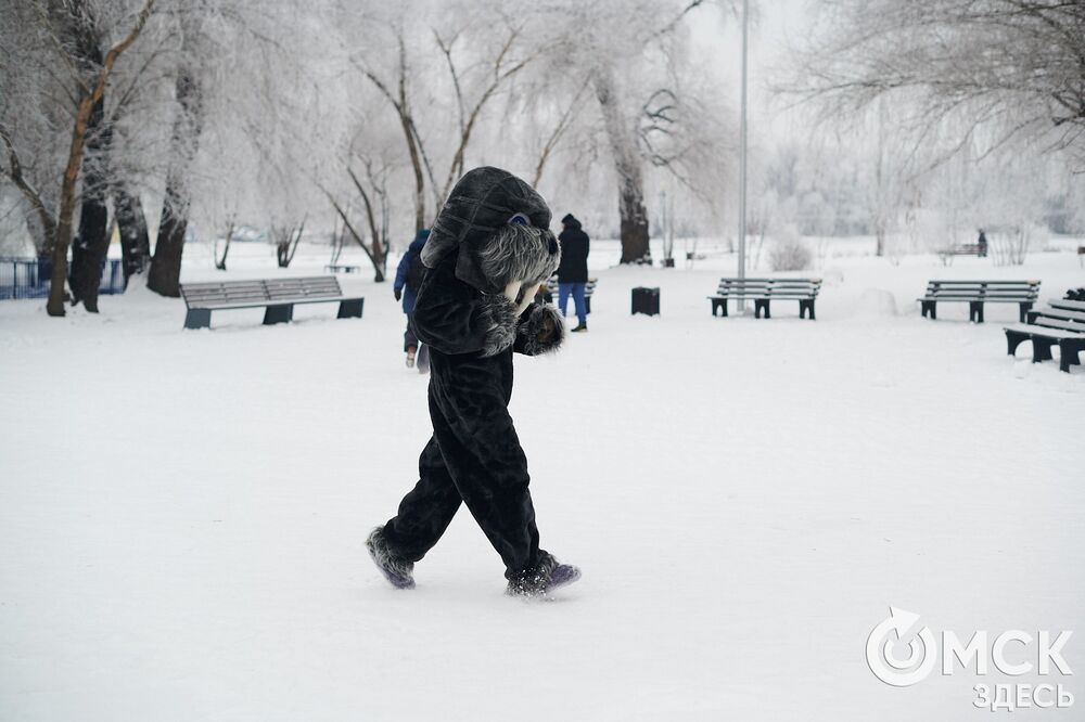 Погода в Омске порой рисует фантазийные пейзажи. На фоне зимней красоты моржи открыли новый сезон. Подробности здесь . Фото: Илья Петров, Елизавета Медведева