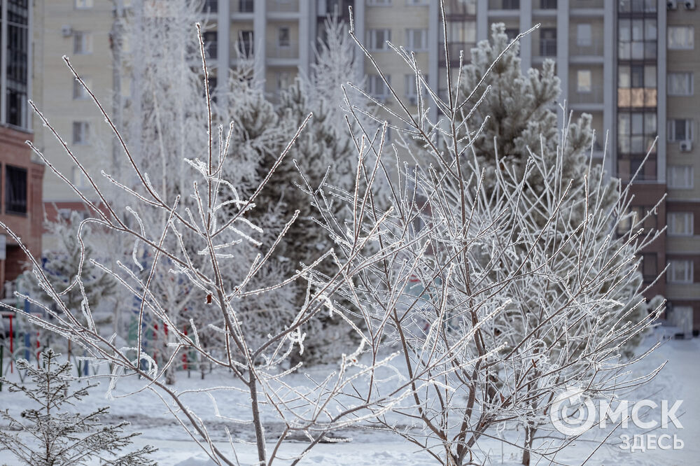 Погода в Омске порой рисует фантазийные пейзажи. На фоне зимней красоты моржи открыли новый сезон. Подробности здесь . Фото: Илья Петров, Елизавета Медведева