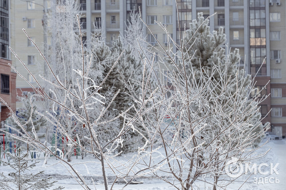 Погода в Омске порой рисует фантазийные пейзажи. На фоне зимней красоты моржи открыли новый сезон. Подробности здесь . Фото: Илья Петров, Елизавета Медведева