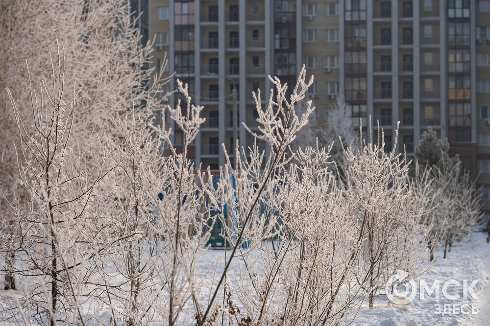 Погода в Омске порой рисует фантазийные пейзажи. На фоне зимней красоты моржи открыли новый сезон. Подробности здесь . Фото: Илья Петров, Елизавета Медведева