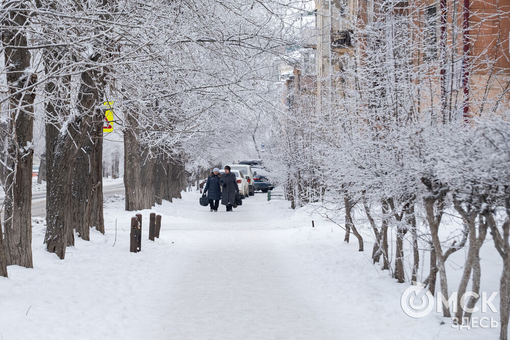 Погода в Омске порой рисует фантазийные пейзажи. На фоне зимней красоты моржи открыли новый сезон. Подробности здесь . Фото: Илья Петров, Елизавета Медведева