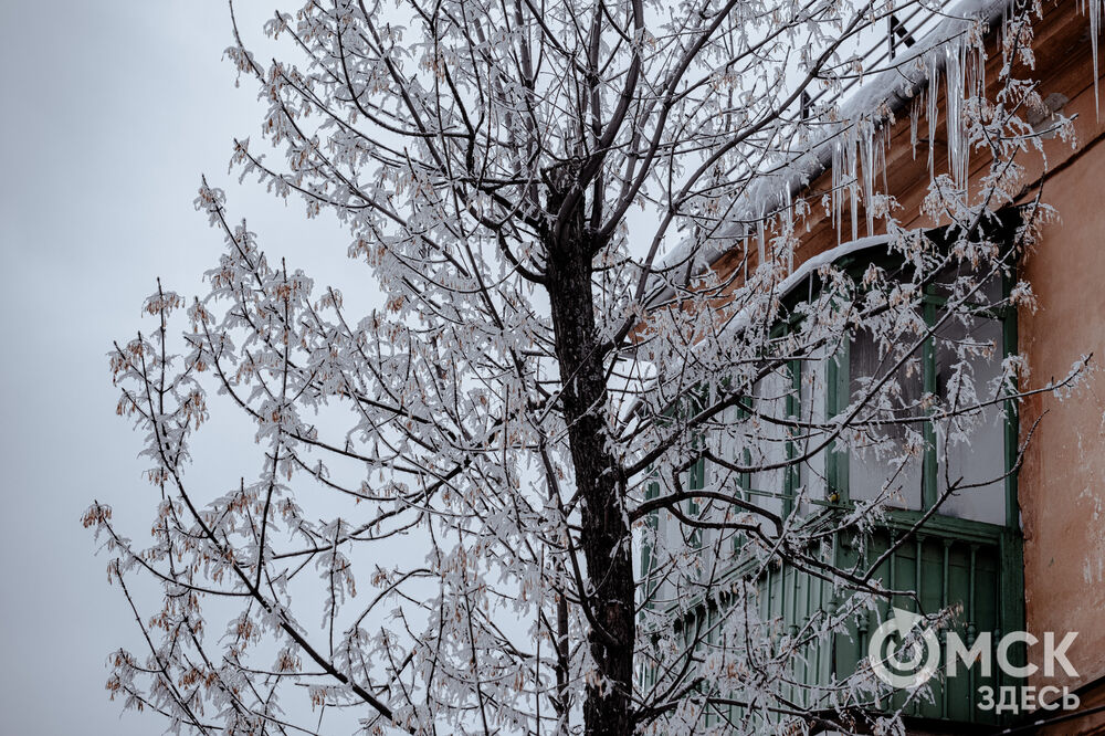 Погода в Омске порой рисует фантазийные пейзажи. На фоне зимней красоты моржи открыли новый сезон. Подробности здесь . Фото: Илья Петров, Елизавета Медведева