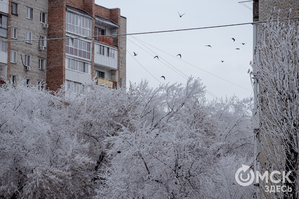 Погода в Омске порой рисует фантазийные пейзажи. На фоне зимней красоты моржи открыли новый сезон. Подробности здесь . Фото: Илья Петров, Елизавета Медведева