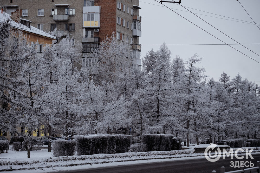 Погода в Омске порой рисует фантазийные пейзажи. На фоне зимней красоты моржи открыли новый сезон. Подробности здесь . Фото: Илья Петров, Елизавета Медведева