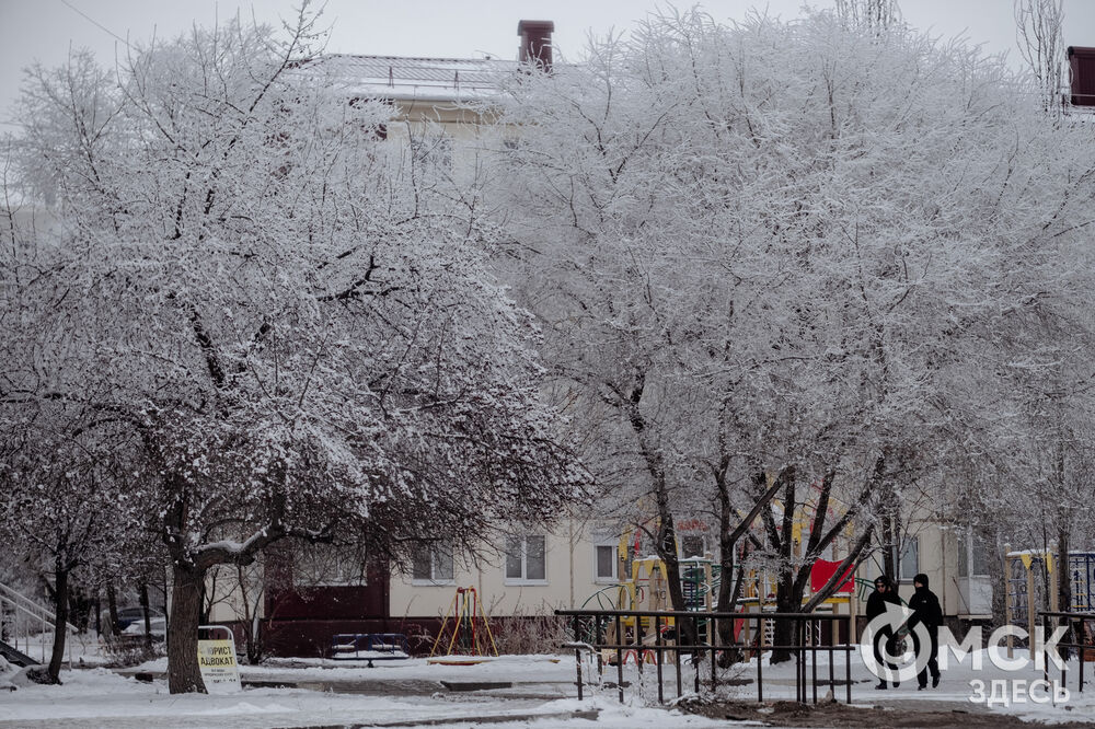 Погода в Омске порой рисует фантазийные пейзажи. На фоне зимней красоты моржи открыли новый сезон. Подробности здесь . Фото: Илья Петров, Елизавета Медведева