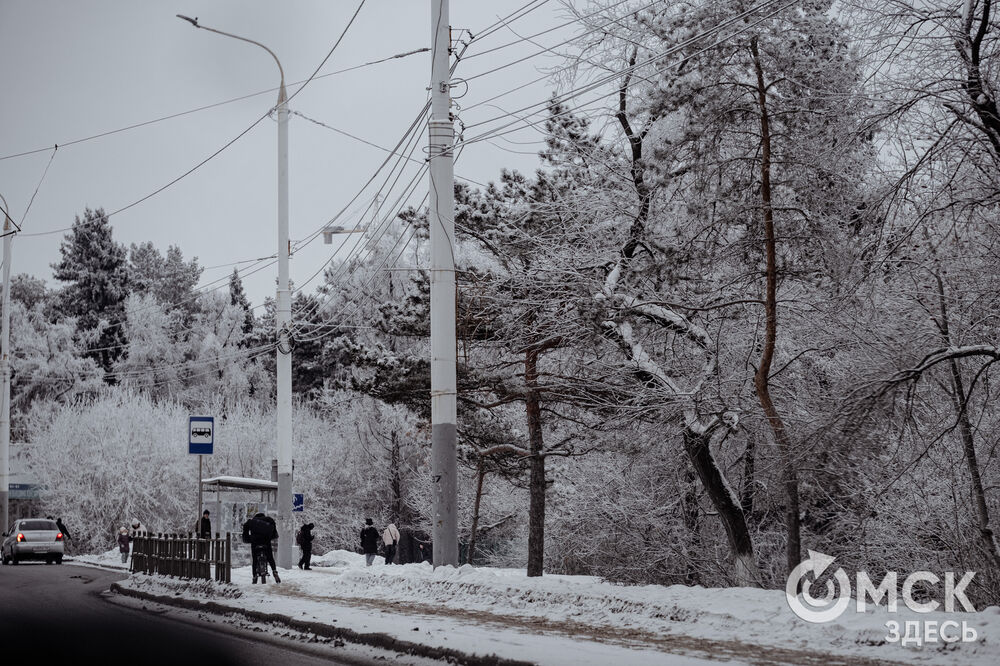 Погода в Омске порой рисует фантазийные пейзажи. На фоне зимней красоты моржи открыли новый сезон. Подробности здесь . Фото: Илья Петров, Елизавета Медведева