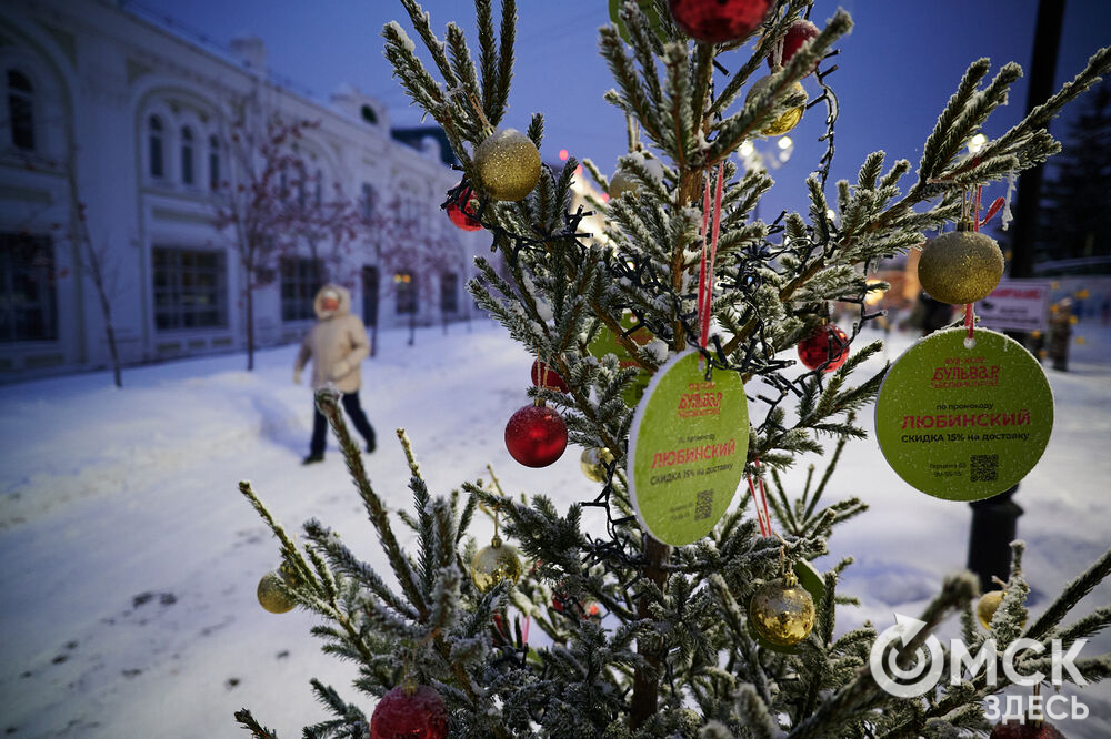 В Омске прошло открытие новогодней локации "Зимний Любинский" (0+). Фото: Илья Петров