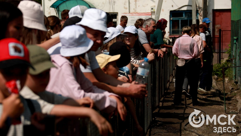 Большереченский зоопарк устроил для гостей показательные кормления хищников.