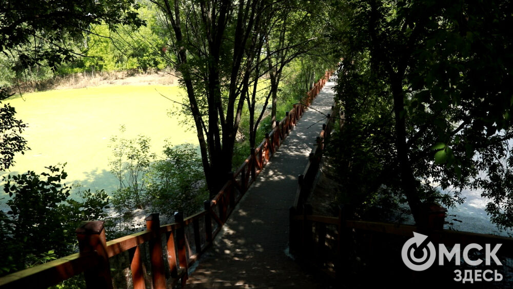 Большереченский зоопарк устроил для гостей показательные кормления хищников.