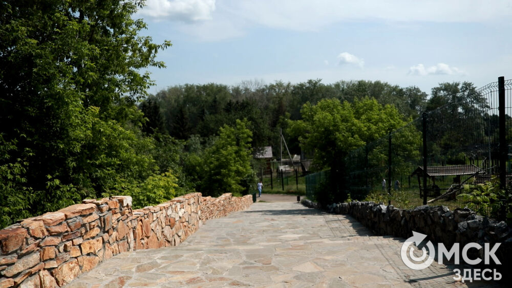 Большереченский зоопарк устроил для гостей показательные кормления хищников.