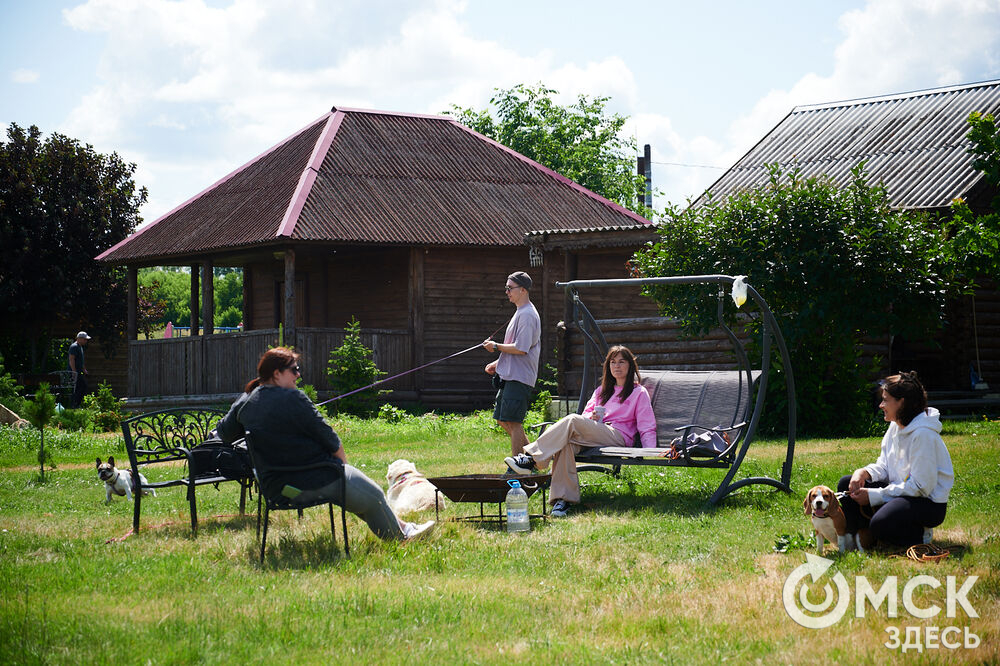 В Омской области реализовали новый проект для любителей собак, объединяющий обучение и отдых. Фото: Илья Петров