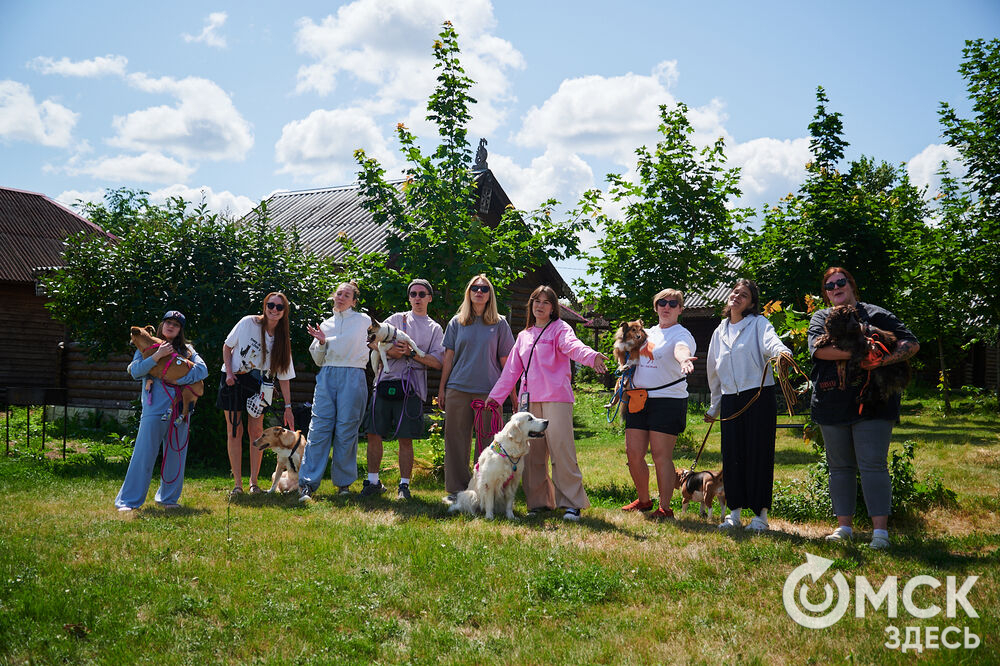 В Омской области реализовали новый проект для любителей собак, объединяющий обучение и отдых. Фото: Илья Петров