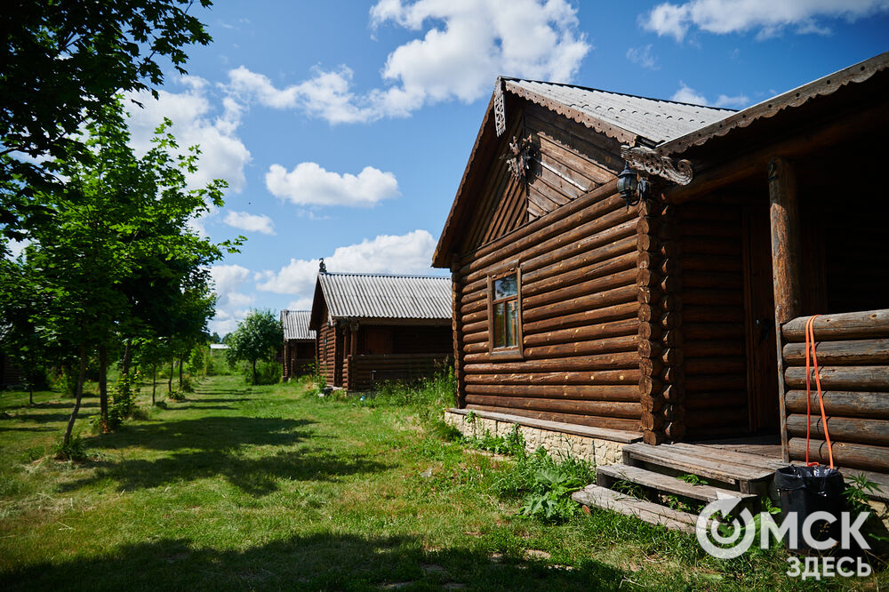 В Омской области реализовали новый проект для любителей собак, объединяющий обучение и отдых. Фото: Илья Петров