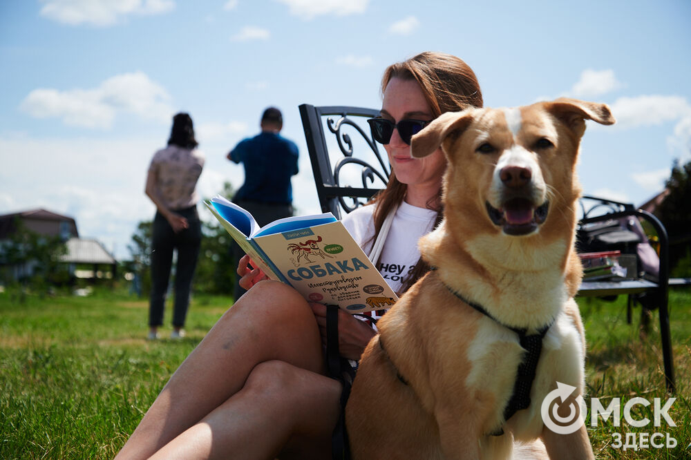 В Омской области реализовали новый проект для любителей собак, объединяющий обучение и отдых. Фото: Илья Петров