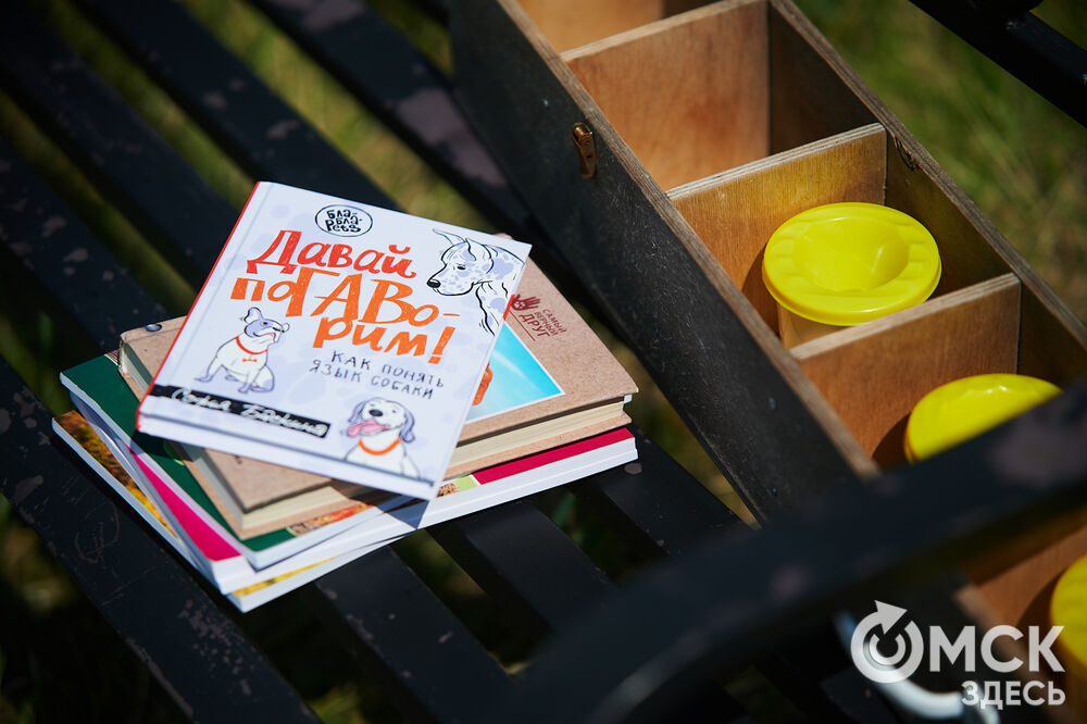 В Омской области реализовали новый проект для любителей собак, объединяющий обучение и отдых. Фото: Илья Петров