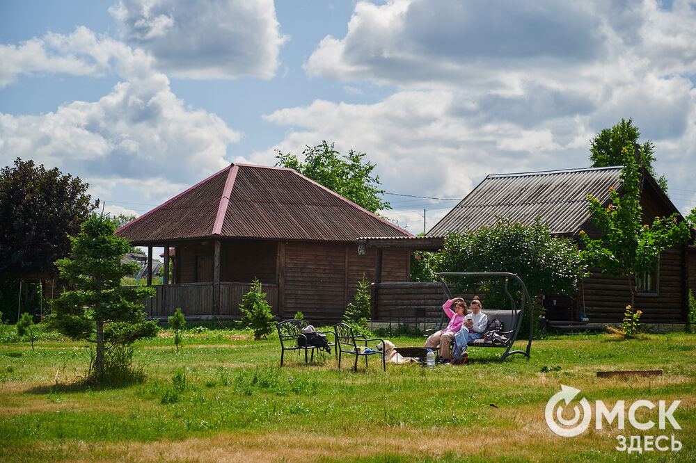 В Омской области реализовали новый проект для любителей собак, объединяющий обучение и отдых. Фото: Илья Петров