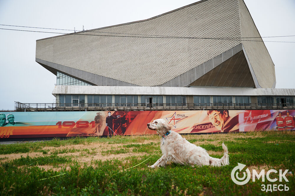 На бетонном заборе вокруг спорткомплекса имени Виктора Блинова теперь красуются красочные рисунки, отражающие историю ХК "Авангард". Фото: Илья Петров