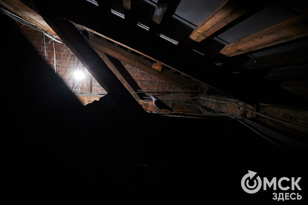 В День города в историческом центре Омска торжественно запустят старинные часы. Мы поднялись на башню с часами на Любинском проспекте , чтобы проверить, как там всё устроено. Фото: Илья Петров