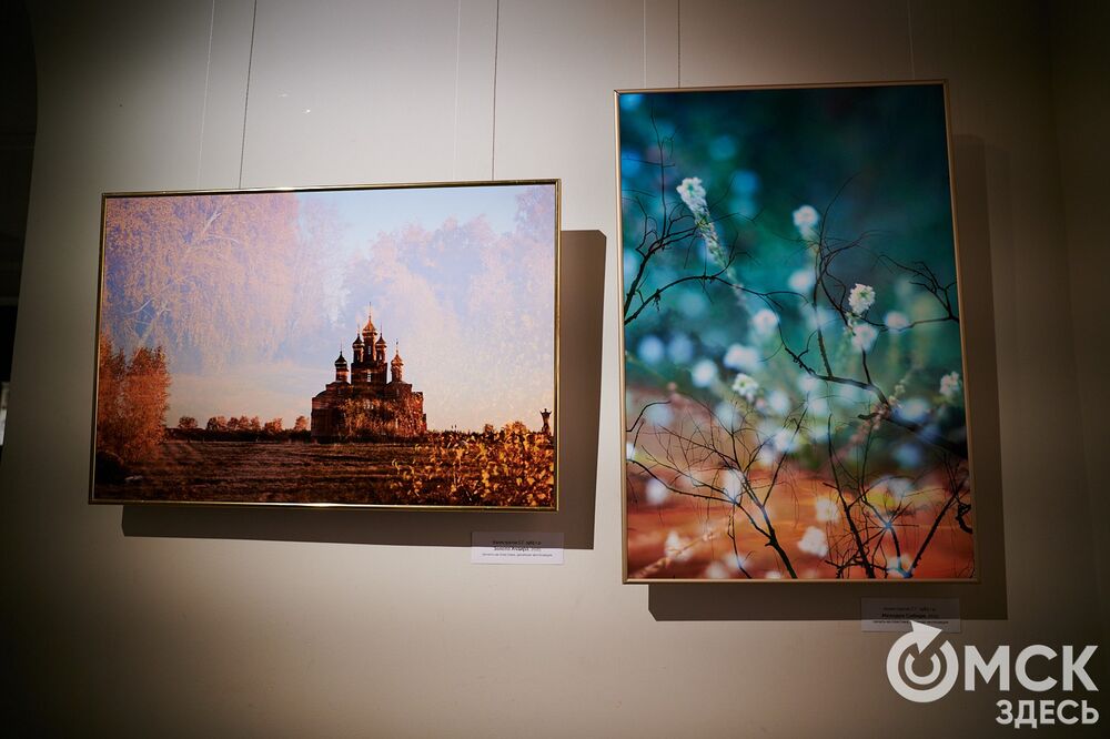 Неочевидные городские герои вышли в свет выставки-конкурса "Омск: здесь и сейчас". Подробности: здесь . Фото: Илья Петров