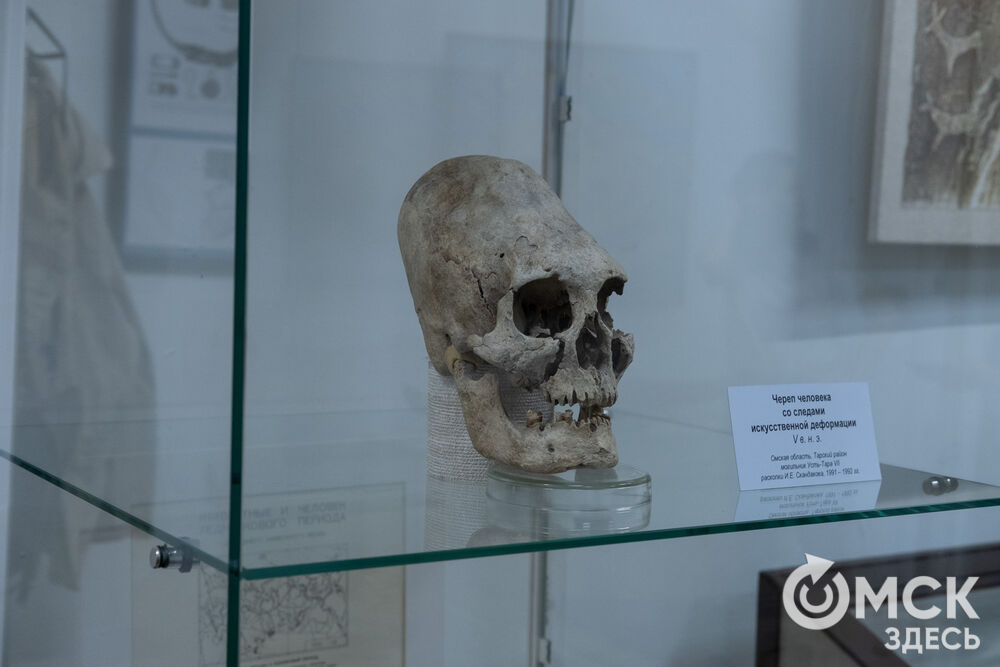 "Бронзовые стражи с берегов сибирских рек" - называние выставки, работающей в рамках музейно-выставочного проекта "От находок к открытиям". Фото: Елизавета Медведева