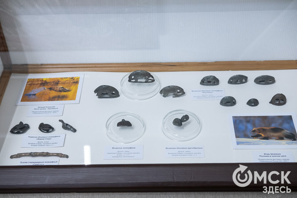 "Бронзовые стражи с берегов сибирских рек" - называние выставки, работающей в рамках музейно-выставочного проекта "От находок к открытиям". Фото: Елизавета Медведева