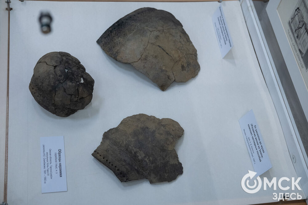 "Бронзовые стражи с берегов сибирских рек" - называние выставки, работающей в рамках музейно-выставочного проекта "От находок к открытиям". Фото: Елизавета Медведева