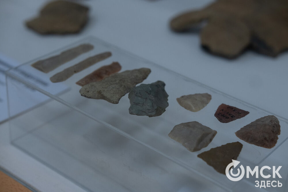 "Бронзовые стражи с берегов сибирских рек" - называние выставки, работающей в рамках музейно-выставочного проекта "От находок к открытиям". Фото: Елизавета Медведева