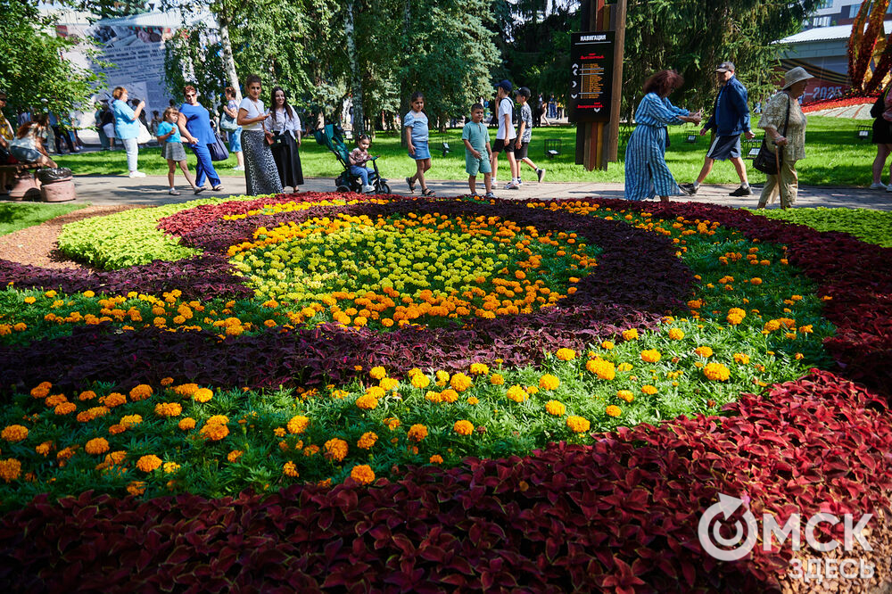 В скверах Выставочный и Воскресенский открылась 73-я выставка зелёного строительства, цветоводства и садоводства "Флора". Фото: Илья Петров