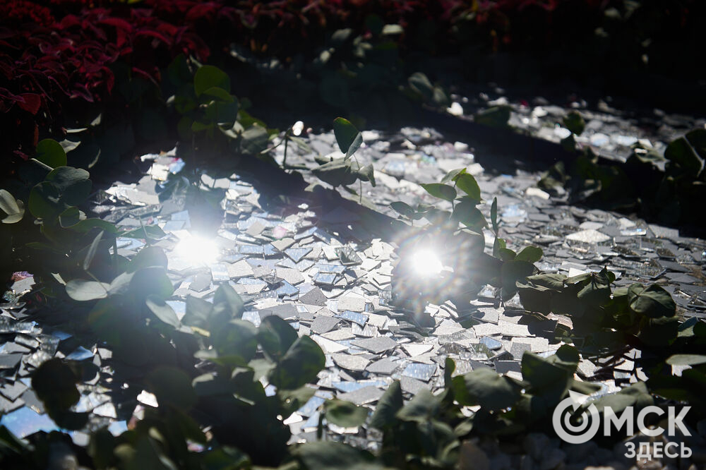 В скверах Выставочный и Воскресенский открылась 73-я выставка зелёного строительства, цветоводства и садоводства "Флора". Фото: Илья Петров