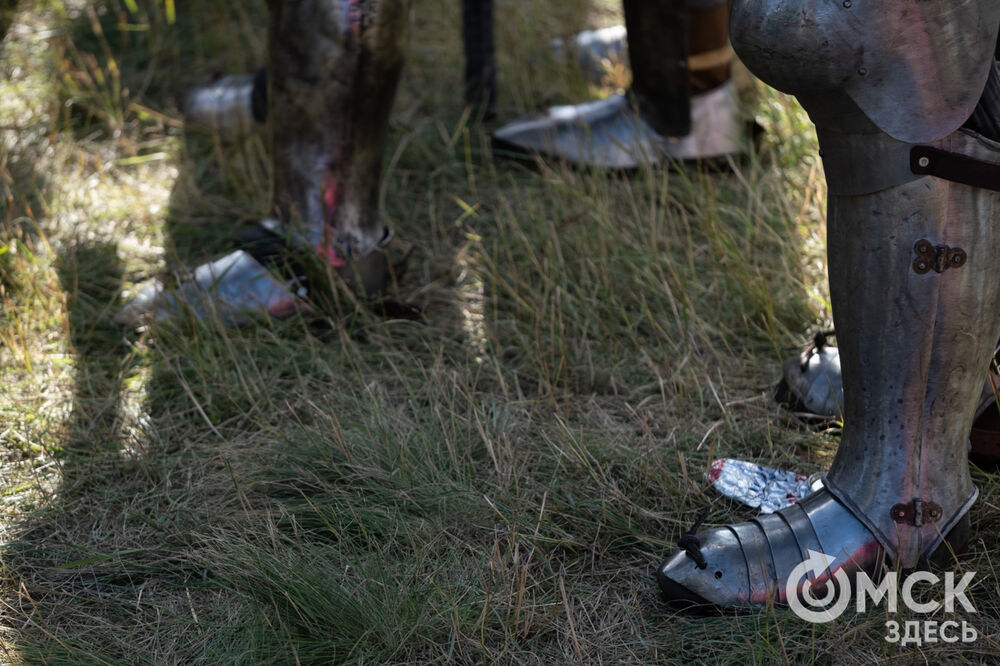 В Омске состоялся двадцатый по счёту фестиваль исторической реконструкции "Щит Сибири" (0+). Фото: Елизавета Медведева