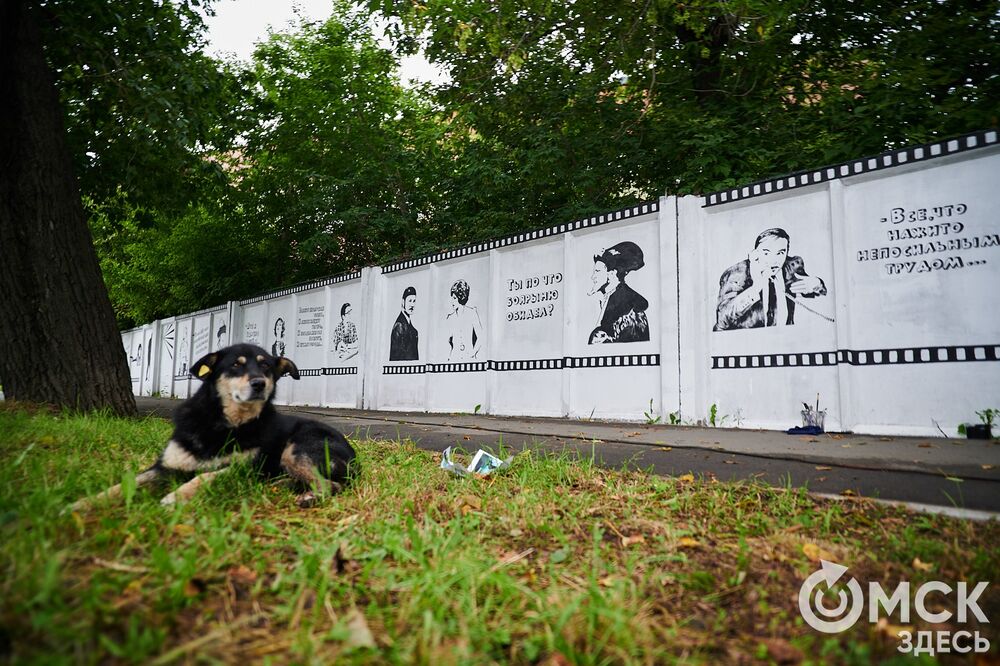 Чёрно-белые изображения появляются рядом с "Киновидеоцентром". Фото: Илья Петров