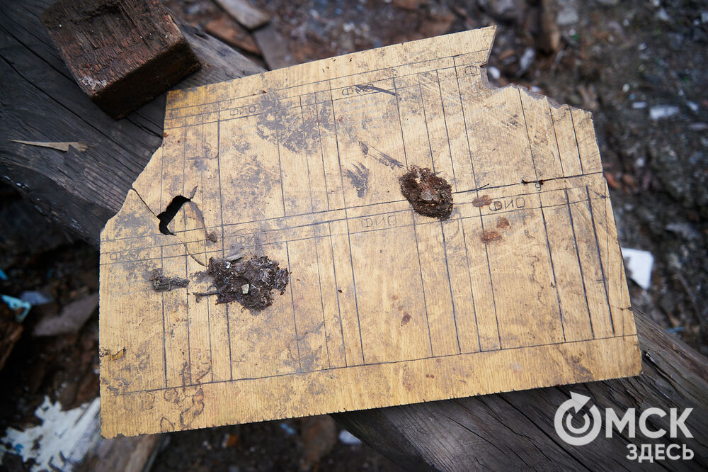 Каждую субботу омичи могут прикоснуться к истории в рамках субботника на территории бывшего военного госпиталя, где лечился Фёдор Достоевский. Фото: Илья Петров