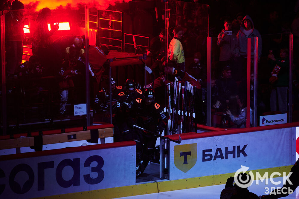 "Авангард" на своём льду победил "Амур". Фото: Илья Петров