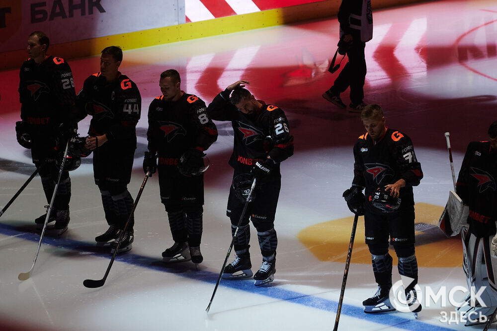 "Авангард" на своём льду победил "Амур". Фото: Илья Петров