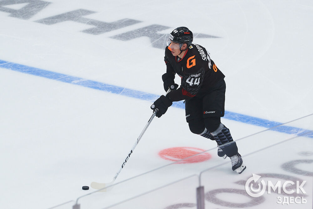 "Авангард" на своём льду победил "Амур". Фото: Илья Петров