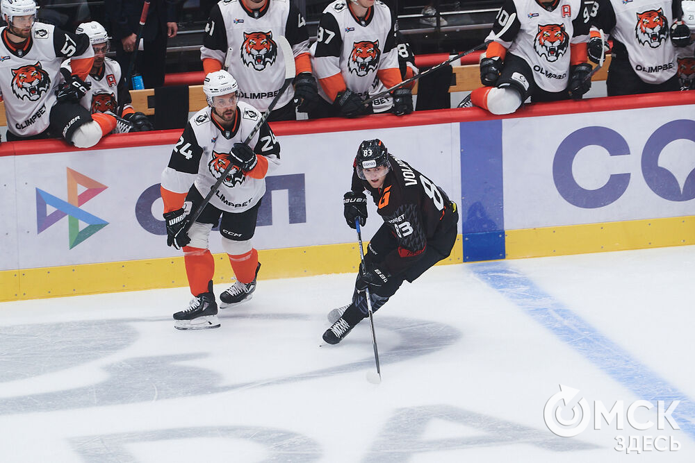 "Авангард" на своём льду победил "Амур". Фото: Илья Петров