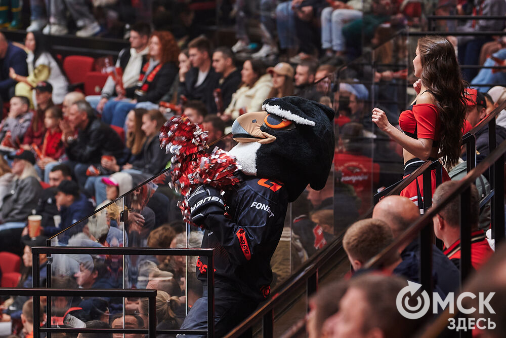 "Авангард" на своём льду победил "Амур". Фото: Илья Петров
